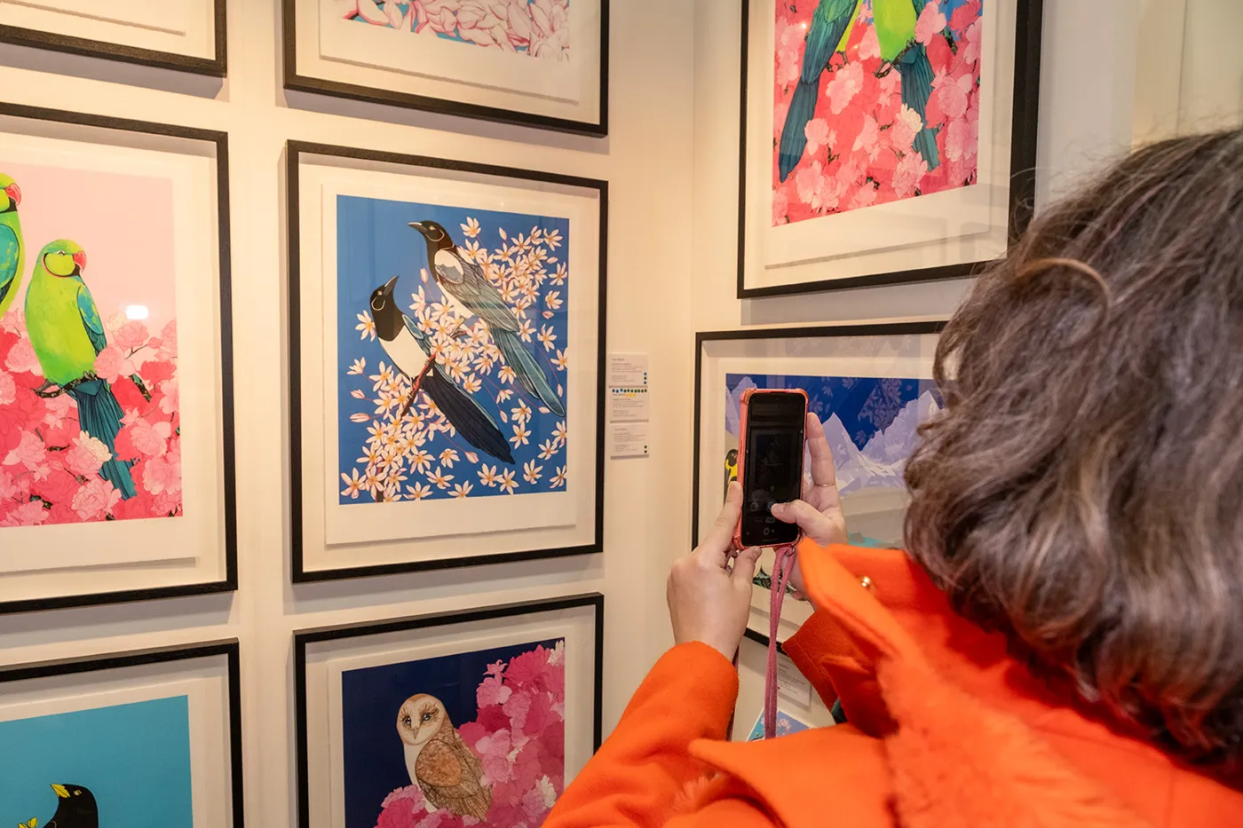 A visitor in an orange coat photographing framed bird prints on her phone
