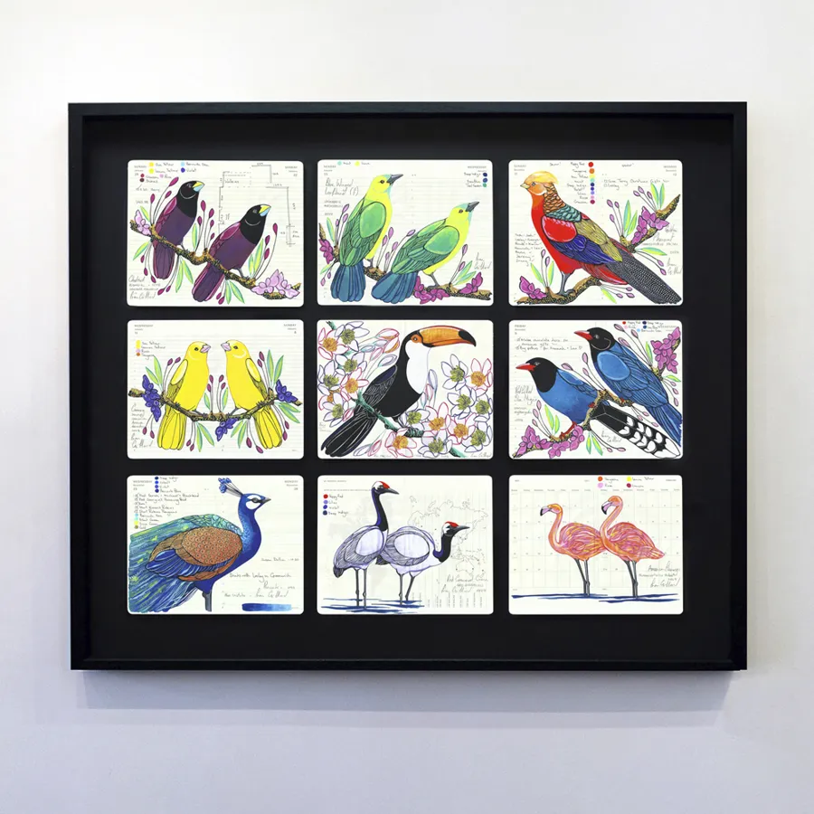 Black frame holding nine small paintings of birds
